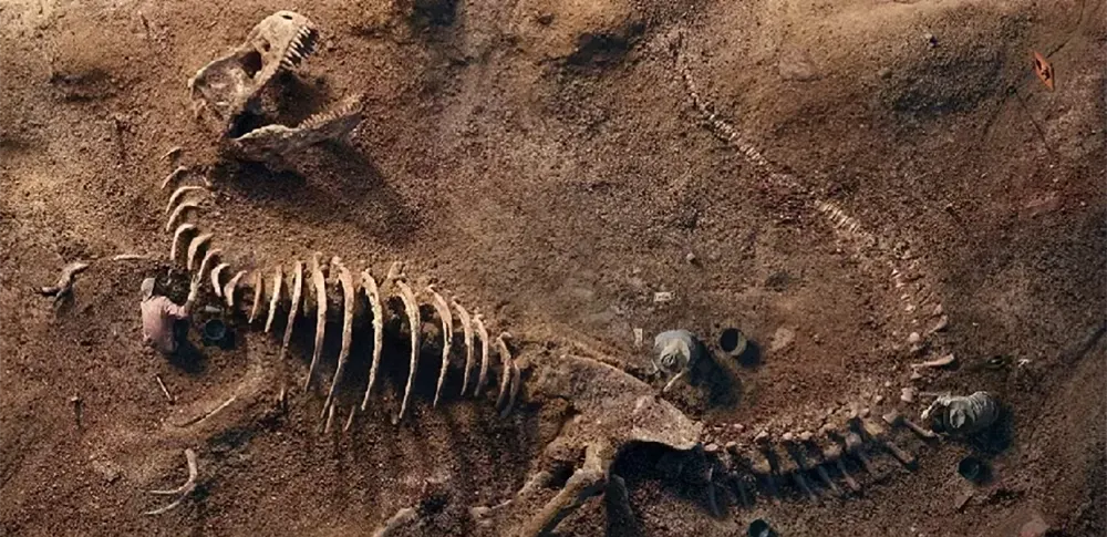 Найден фрагмент скелета нового вида динозавров