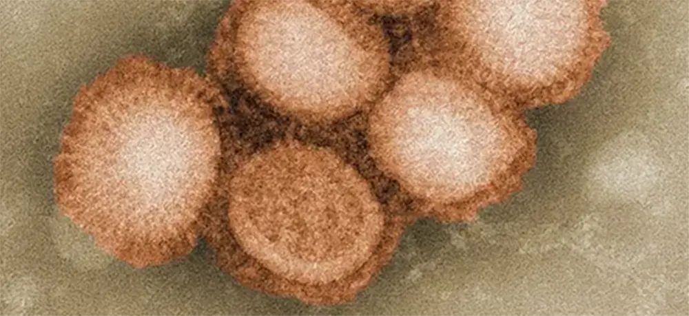 Универсальный иммунитет ко всем вирусам гриппа