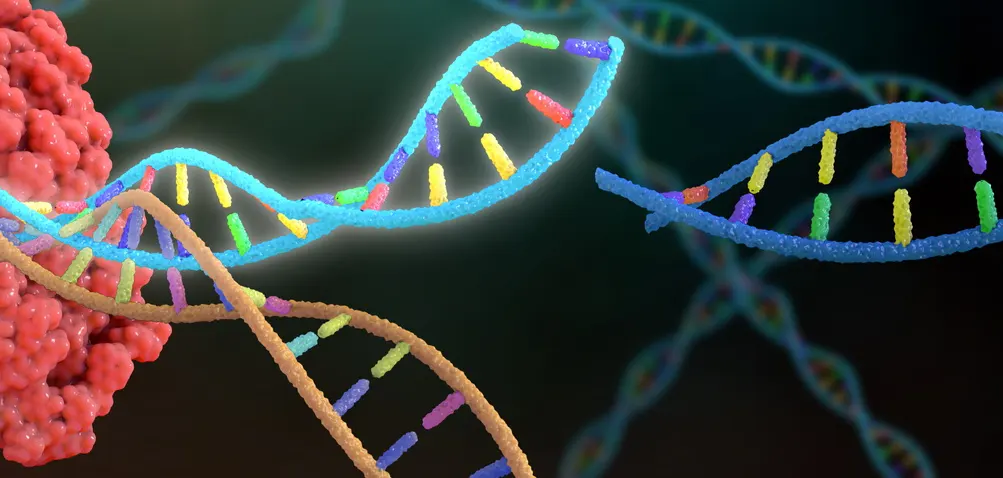Исследование генетических мутаций человечества