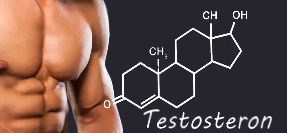 Влияние тестостерона на мужской организм
