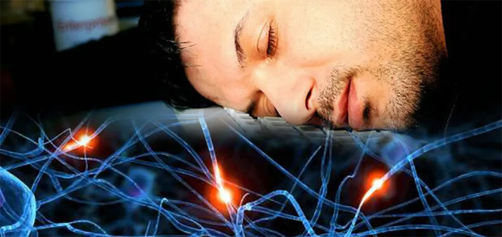 Тренировки улучшают память в период сна