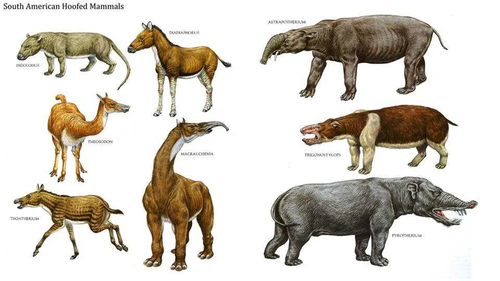 Эволюция размеров млекопитающих