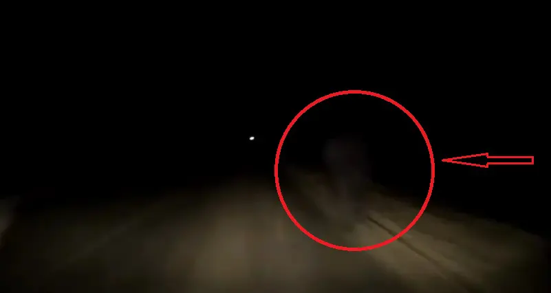 На трассе под Липецком мужчина заснял призрака