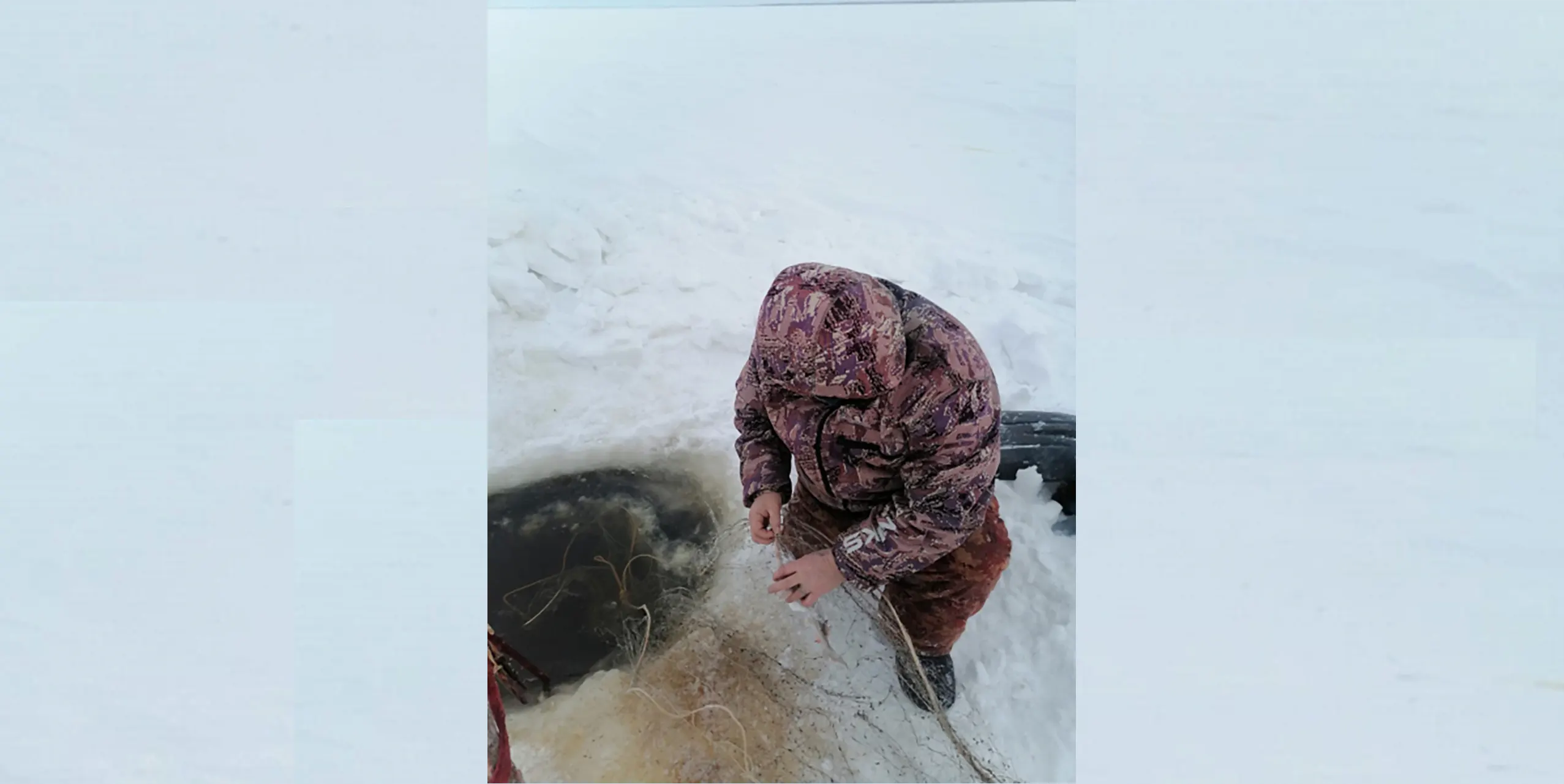 В Ямало-Ненецком округе задержан браконьер, выловившего краснокнижного осетра