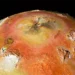 Космический аппарат «Juno» сделал новые снимки Ио