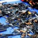 В ФСБ РФ отчитались о пресечении деятельности подпольных мастерских оружия