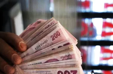 В ближайшее время турецкие банки могут возобновить расчеты с Россией