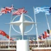 «НАТО может развалиться»