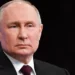 В России растет интерес к китайской культуре и искусству