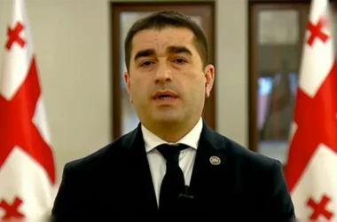 В Грузии закон об иноагентах вступил в силу после его одобрения