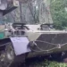 ПВО России перехватило 14 украинских БПЛА в Брянской области 11 декабря