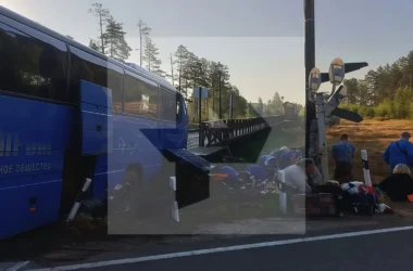 Столкновение автобуса с грузовым составом в Ленинградской области — 2 погибших, 10 пострадавших Столкновение автобуса с грузовым составом в Ленинградской области — 2 погибших, 10 пострадавших