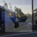 Столкновение автобуса с грузовым составом в Ленинградской области — 2 погибших, 10 пострадавших