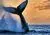 Горбатый кит — краткое описание